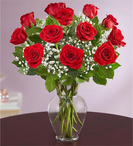 12 Premium Long Stem Red Roses