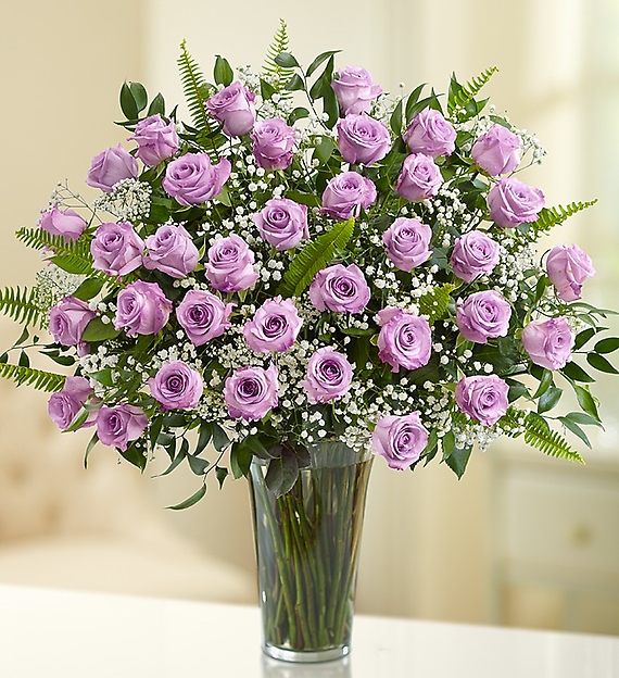 Premium Long Stem 36 Purple Roses