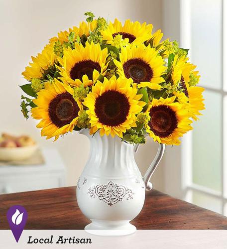 Pitcher Full of Sunflowers